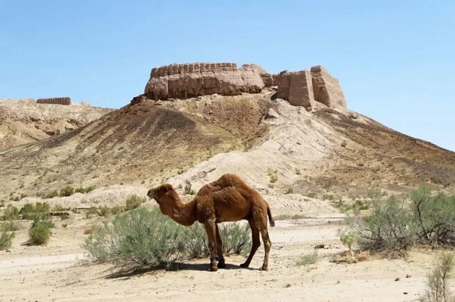 Karakalpakstan